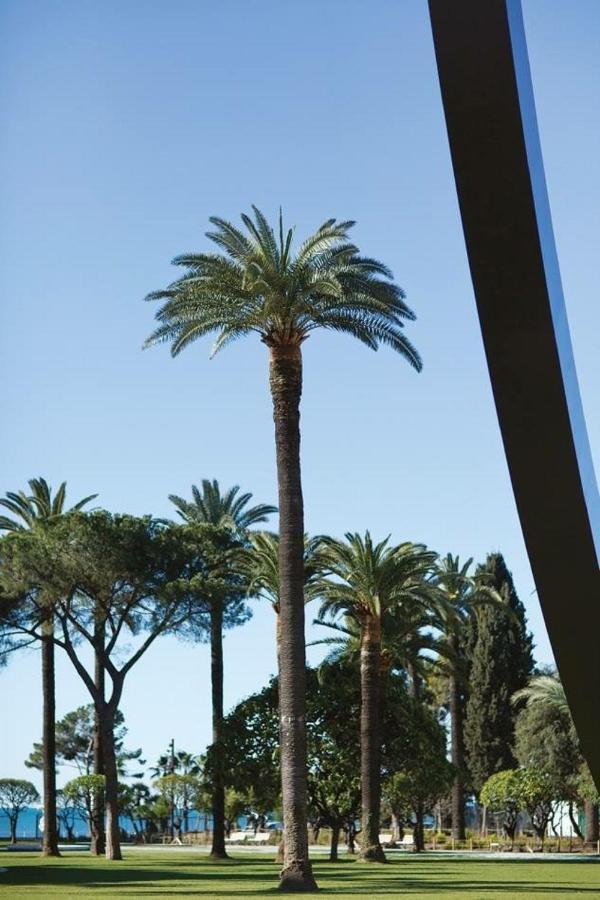 Le Chateau - The Most Beautiful Sight In Old Town, Private Terrace Nice Bagian luar foto
